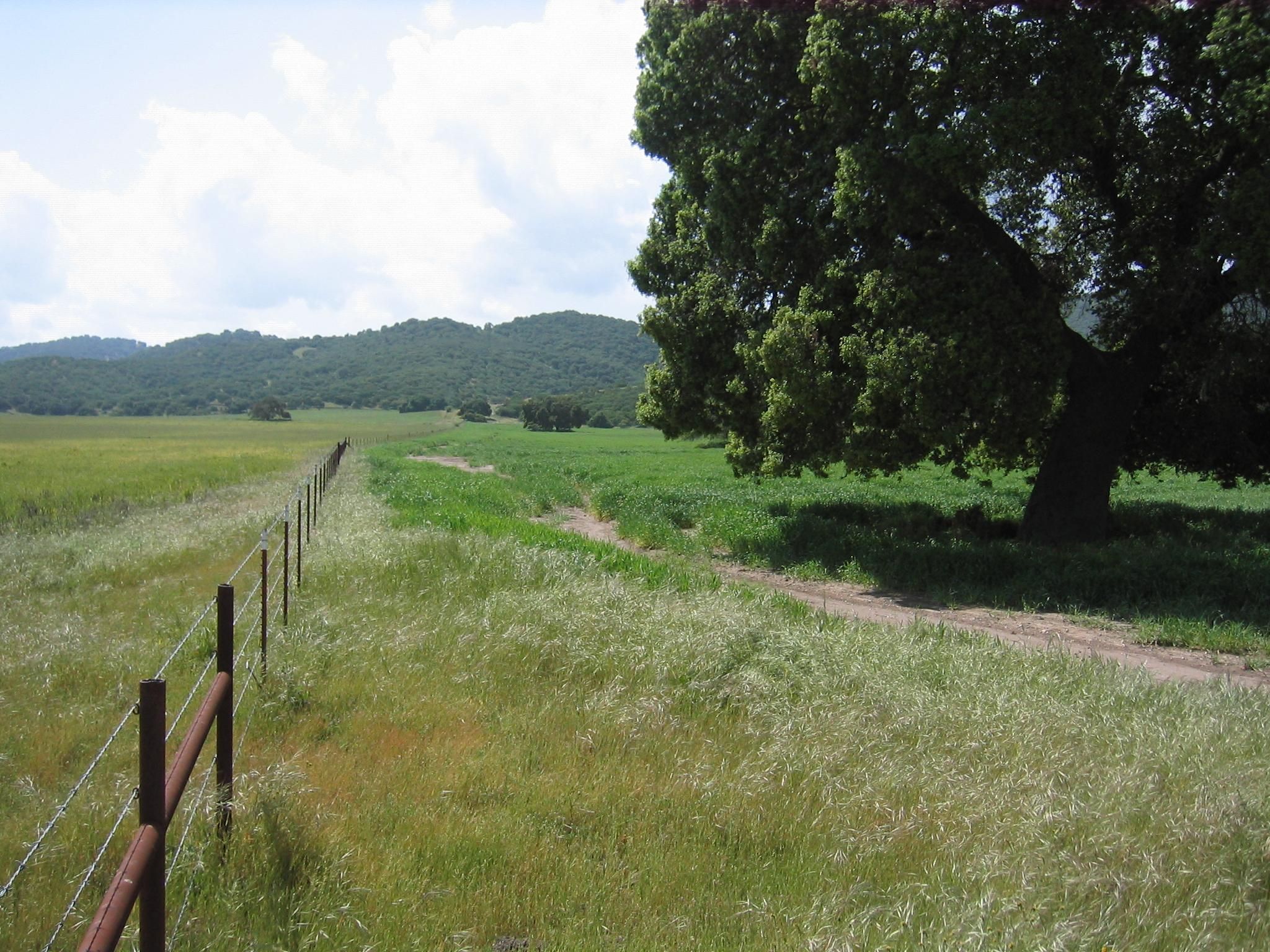 King City, Monterey County, CA Farms and Ranches for sale Property ID