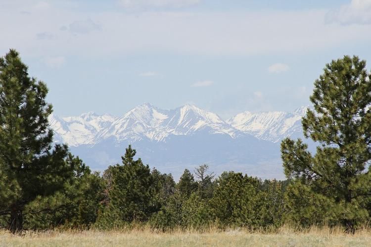 Greycliff, Sweet Grass County, MT Farms and Ranches for sale Property