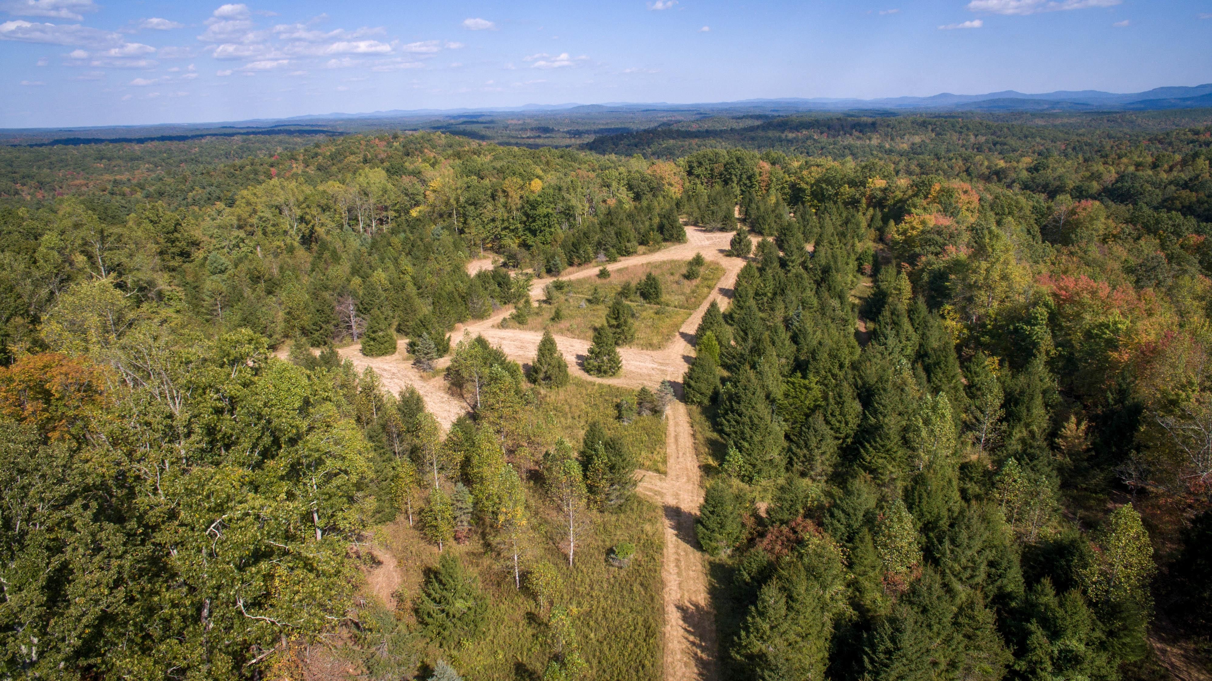 Sunbright, County, TN Farms and Ranches, Recreational Property