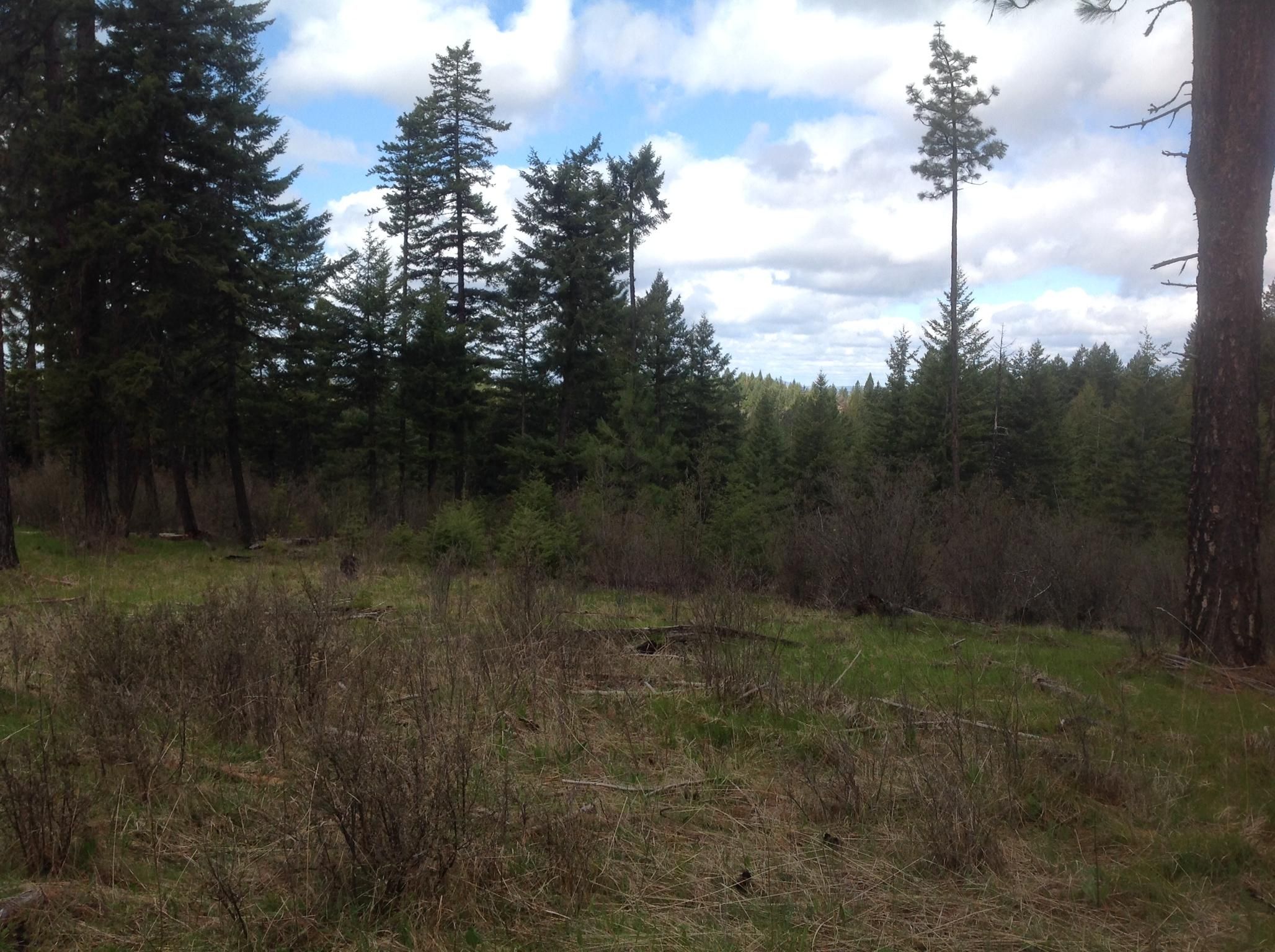 Kendrick, Clearwater County, ID Farms and Ranches for sale Property ID