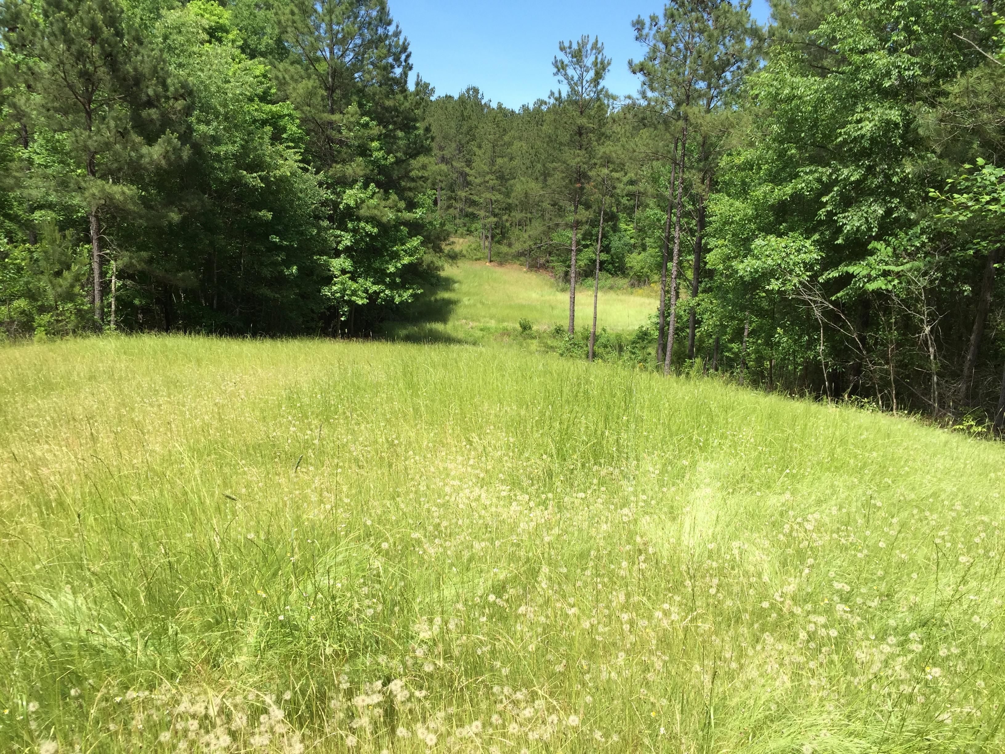 Rockford, Coosa County, AL Farms and Ranches, House for sale Property
