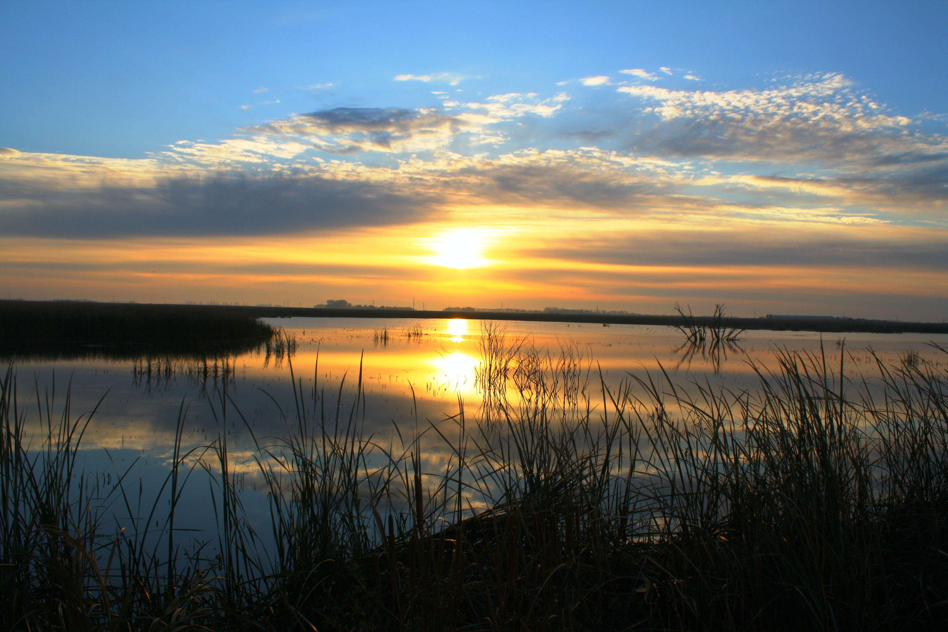 Montevideo, Chippewa County, MN Farms and Ranches for sale Property ID