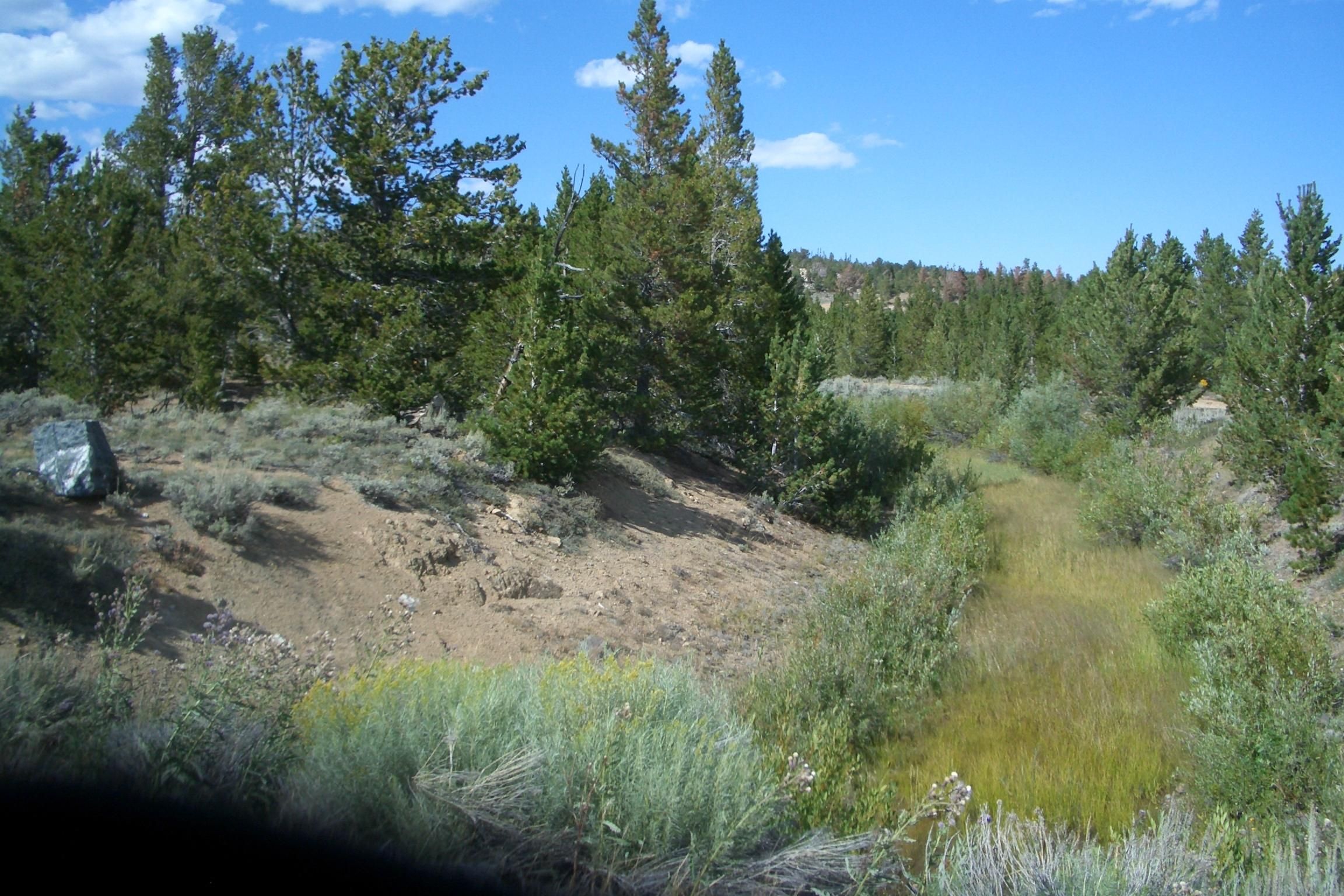 Atlantic City, Fremont County, WY Farms and Ranches for sale Property