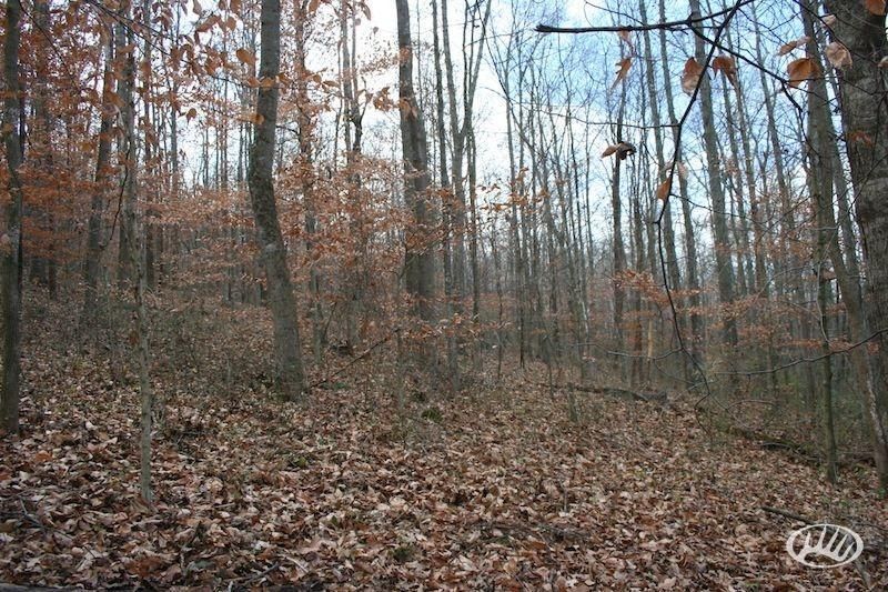 Richardsville, Warren County, KY Farms and Ranches for sale Property ID