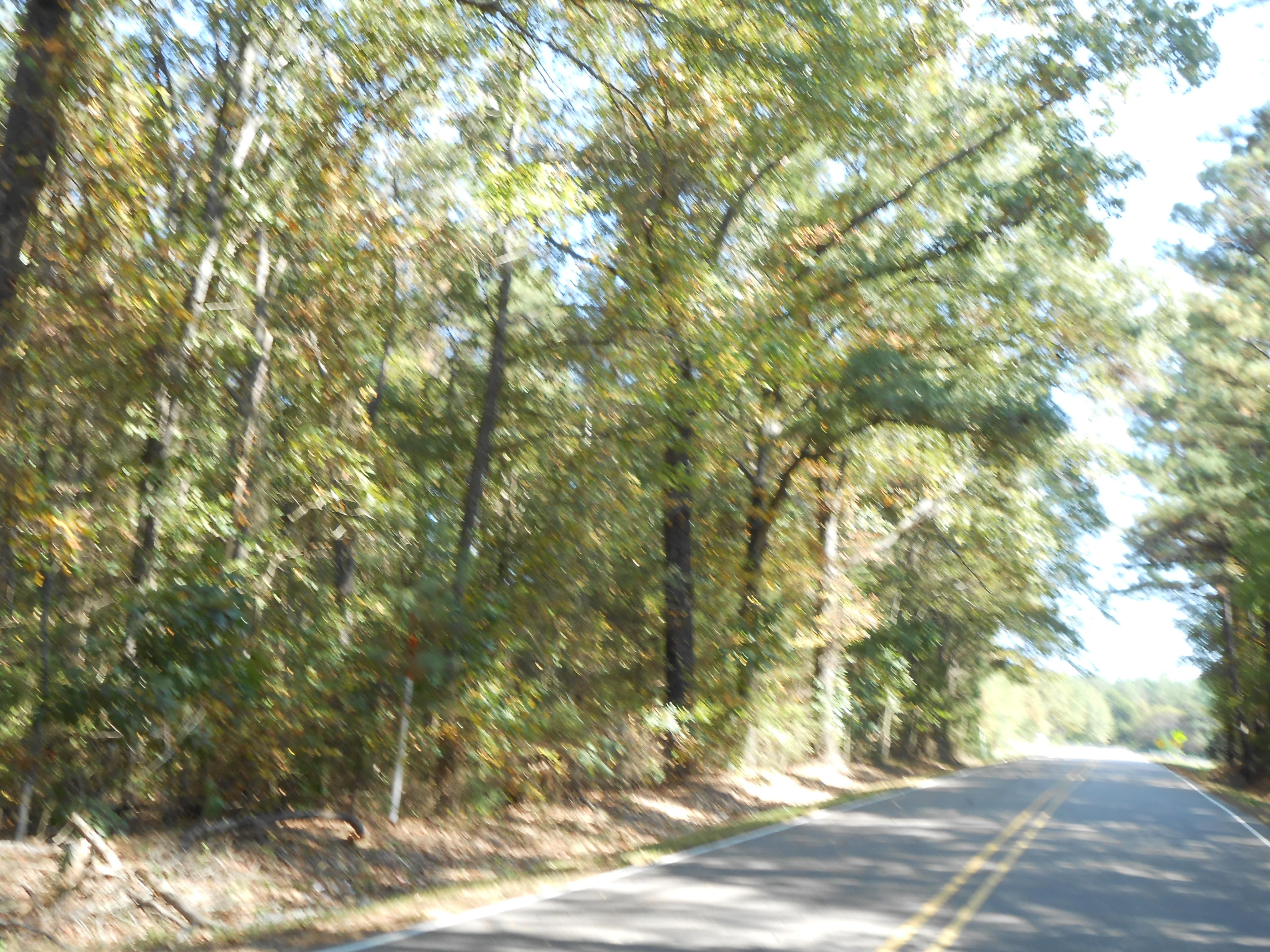 Holly Bush Rd, Pelahatchie, MS 39145 LandWatch