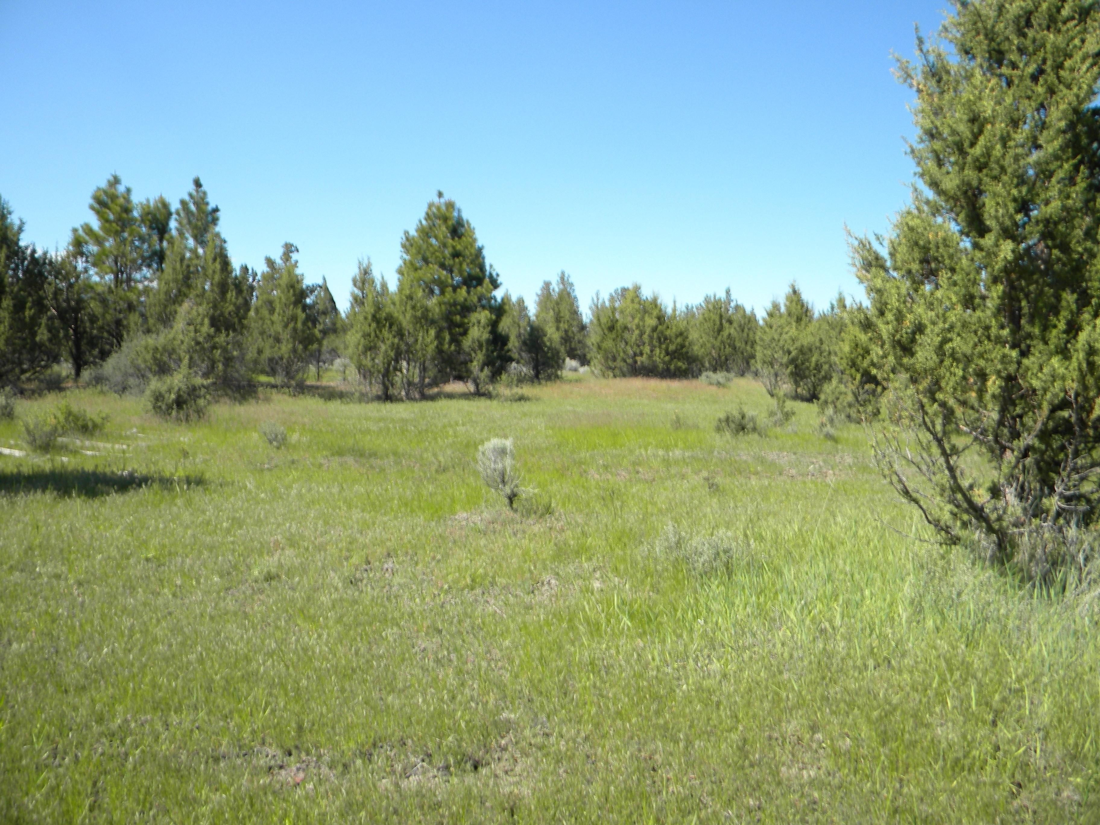 Madras, Jefferson County, OR Farms and Ranches for sale Property ID