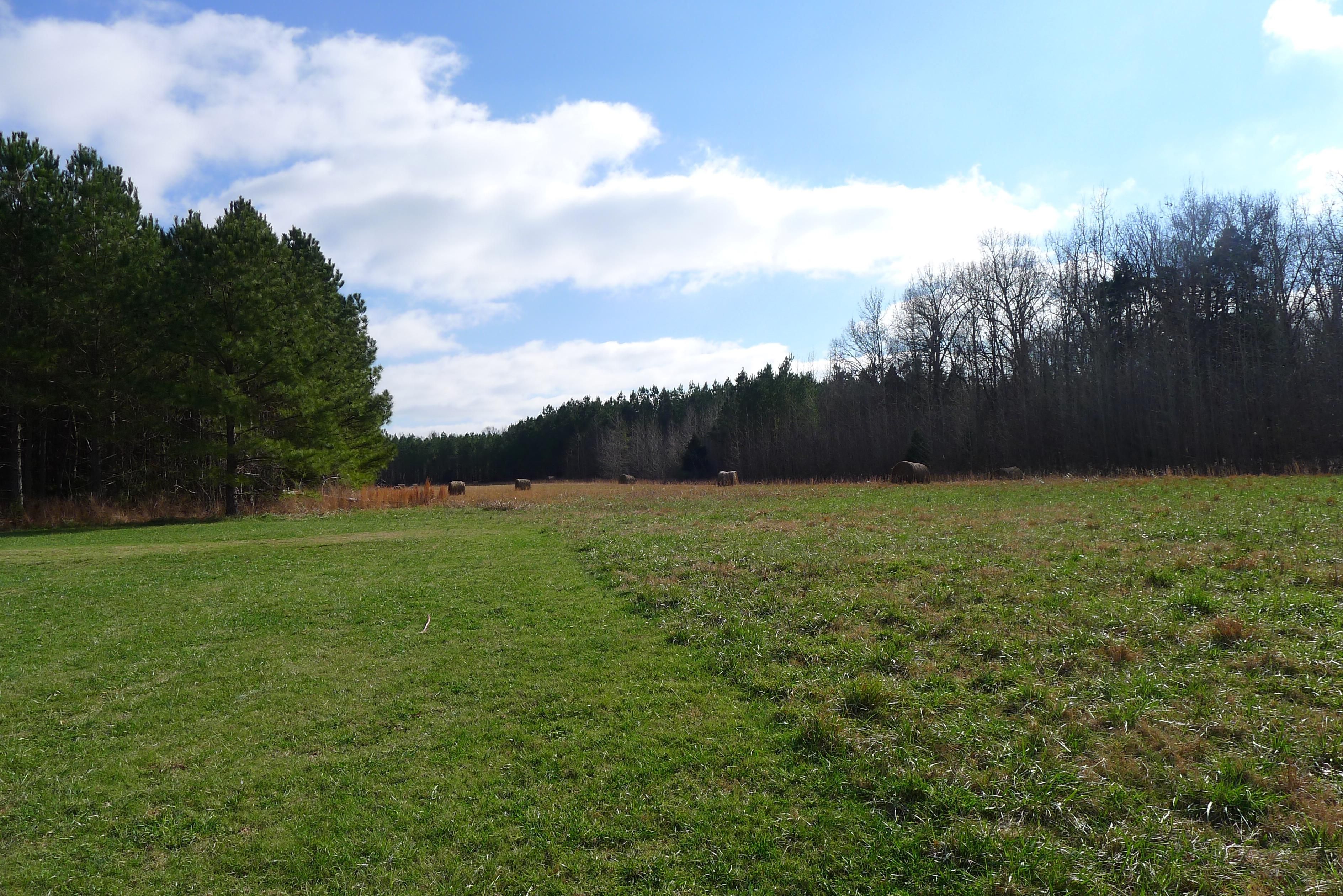 Hickory Valley, Fayette County, TN Farms and Ranches, Recreational