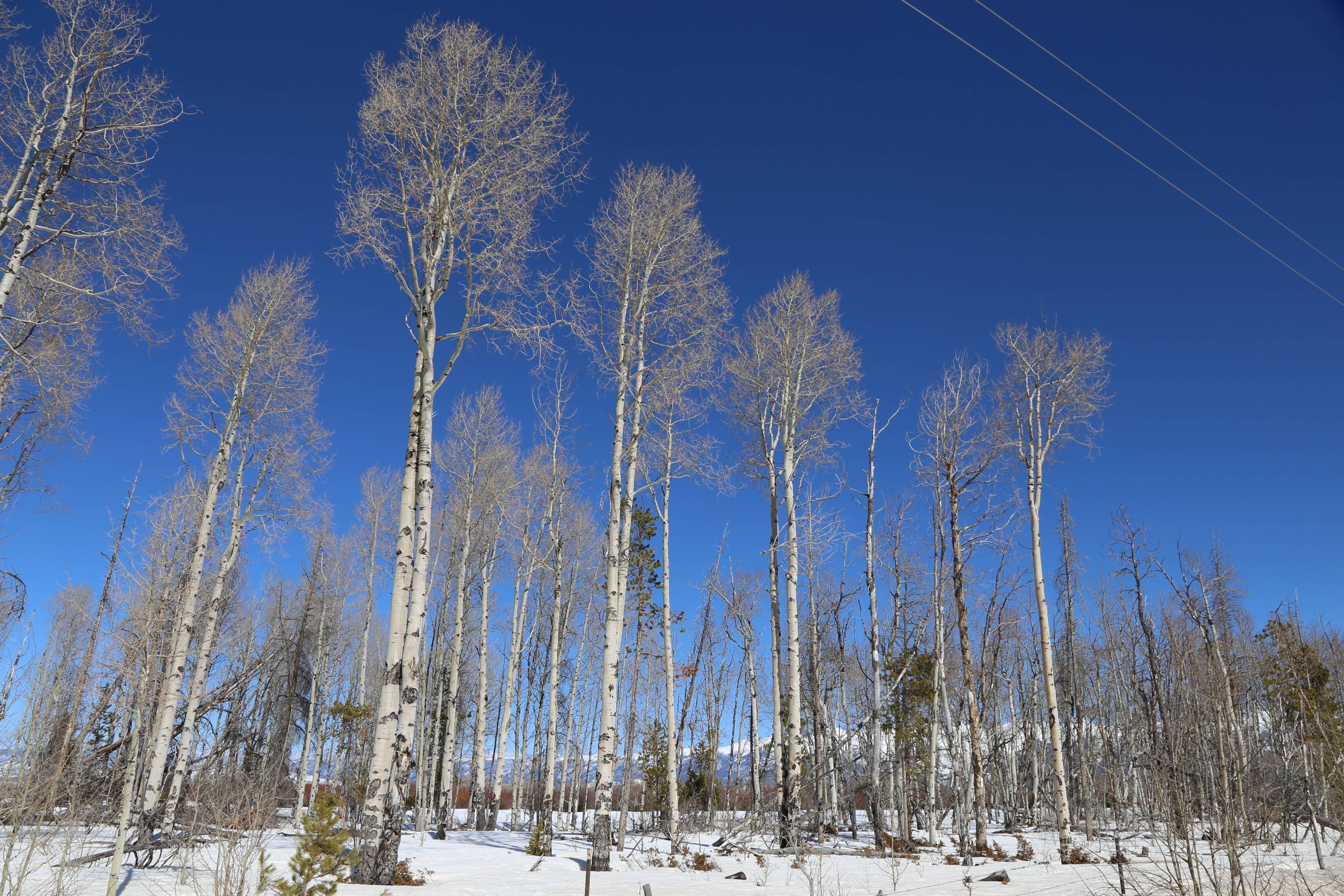 11679 County Road 27, Walden, CO 80480 LandWatch