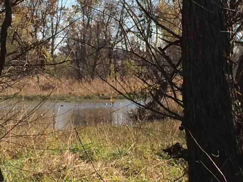 Blairstown, Henry County, MO Farms and Ranches for sale Property ID