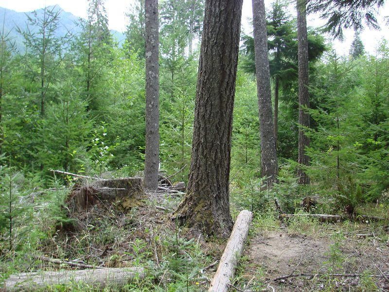 Ashford, Pierce County, WA Farms and Ranches for sale Property ID