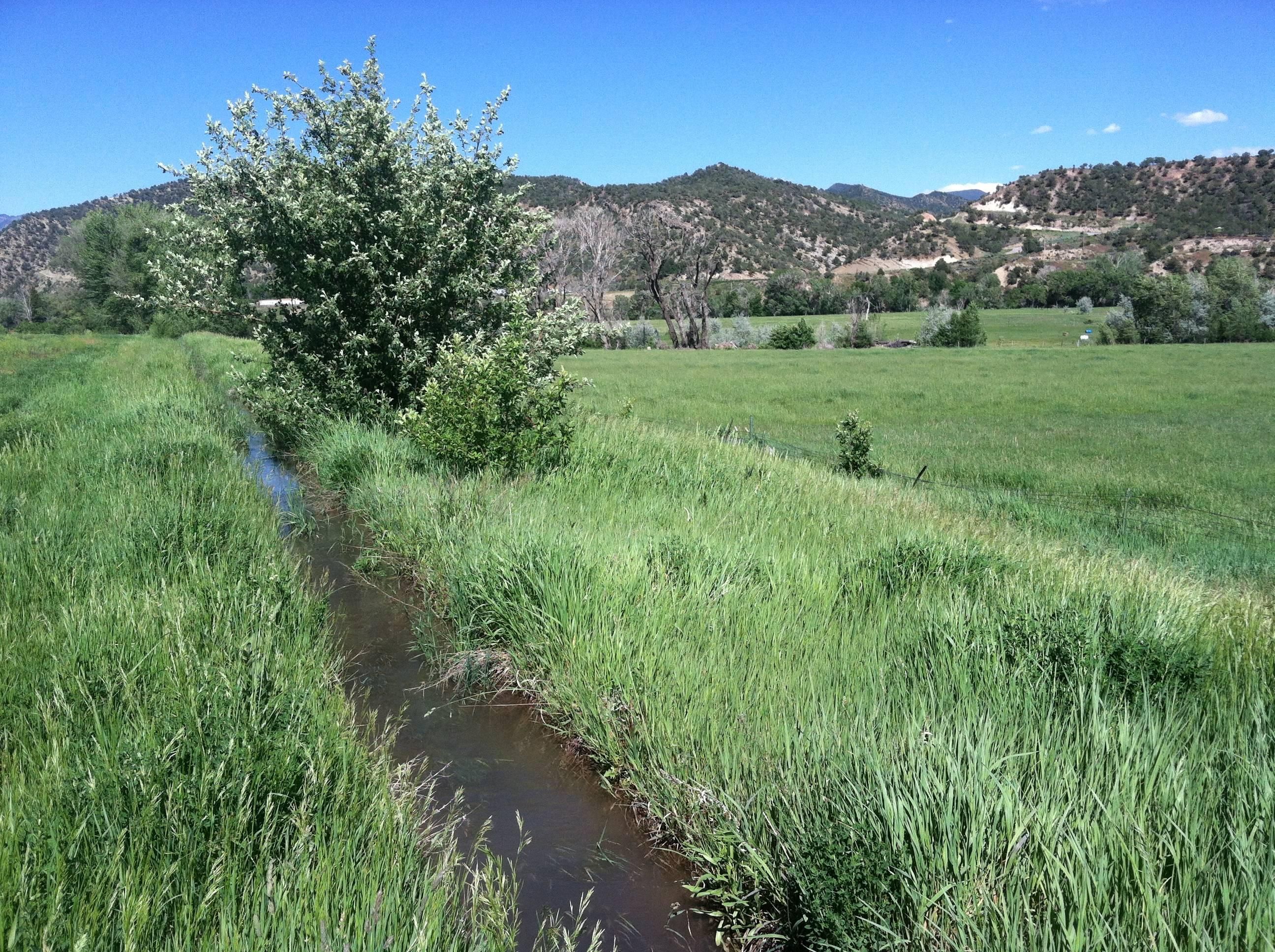 New Castle, Garfield County, CO Recreational Property, Riverfront