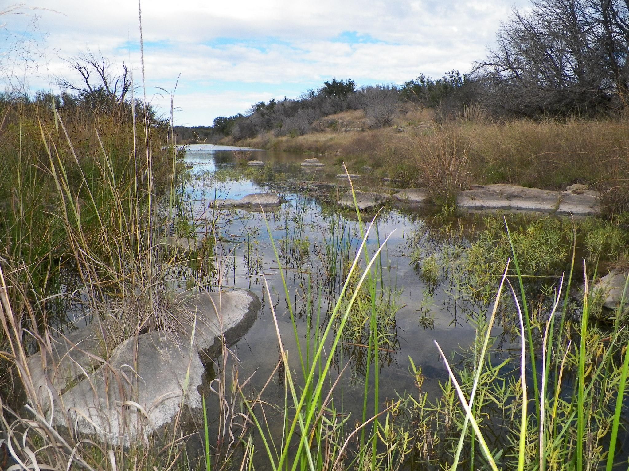 Brady, McCulloch County, TX Farms and Ranches for sale Property ID