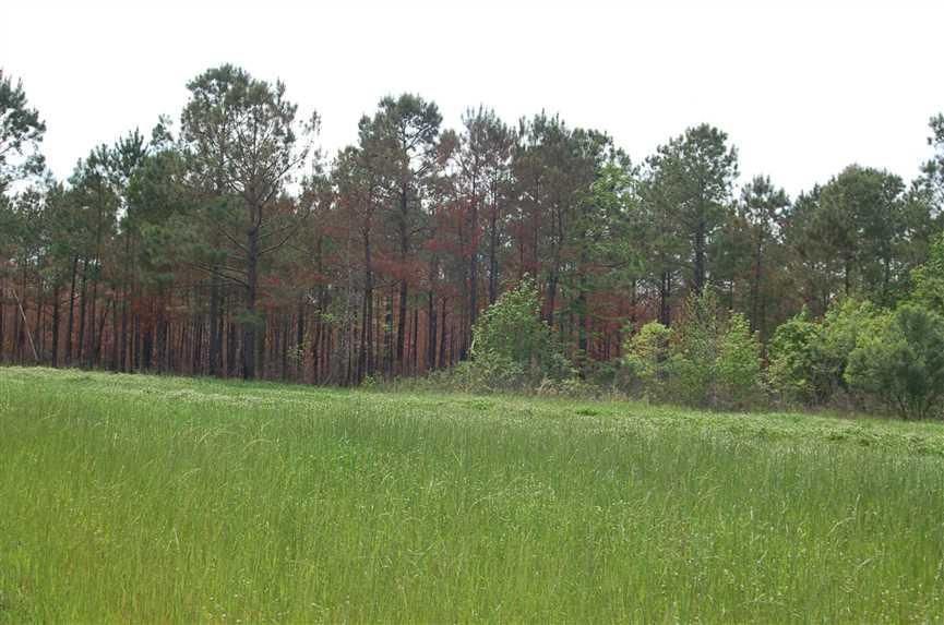 Hurtsboro, Russell County, AL Farms and Ranches for sale Property ID