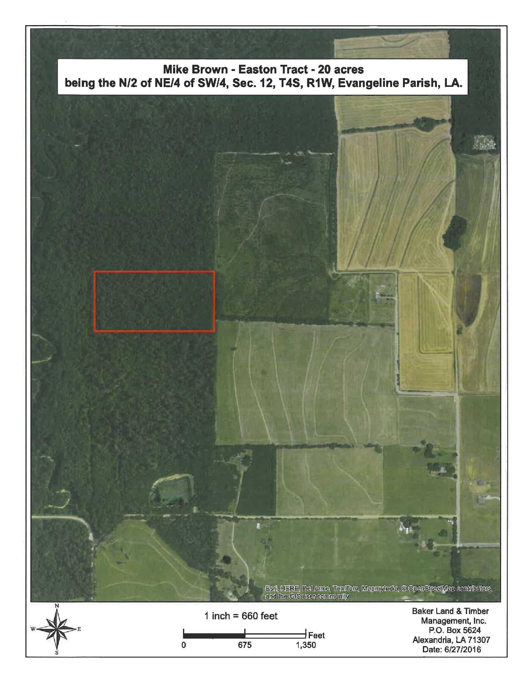 Easton, Evangeline Parish, LA Recreational Property, Timberland