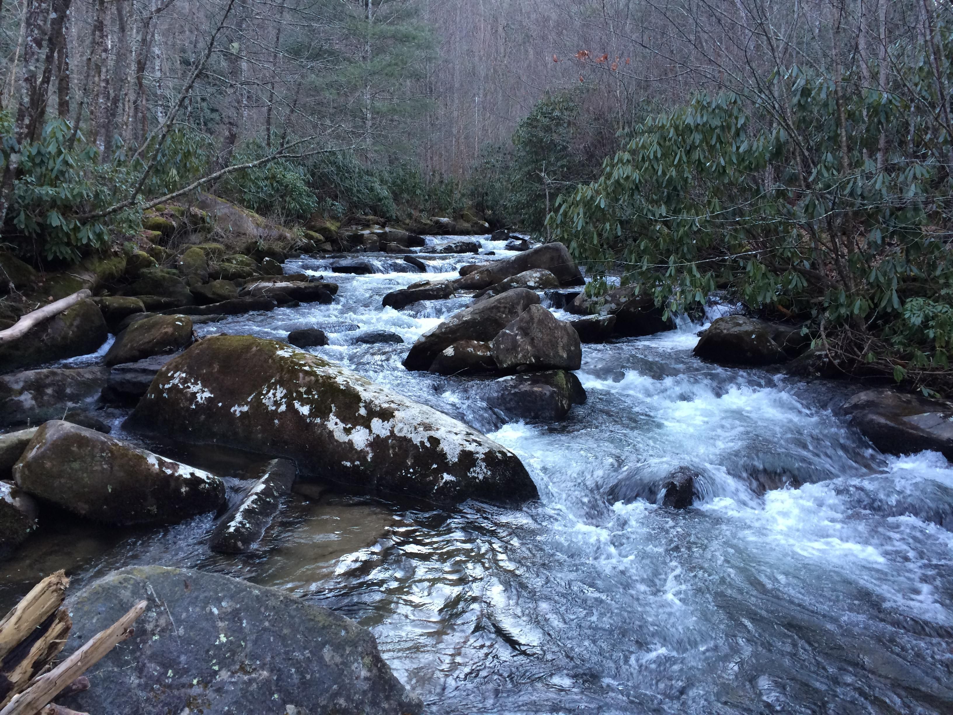 little snowbird road, Robbinsville, NC 28771 LandWatch