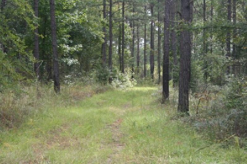 Culloden, Upson County, GA Farms and Ranches for sale Property ID