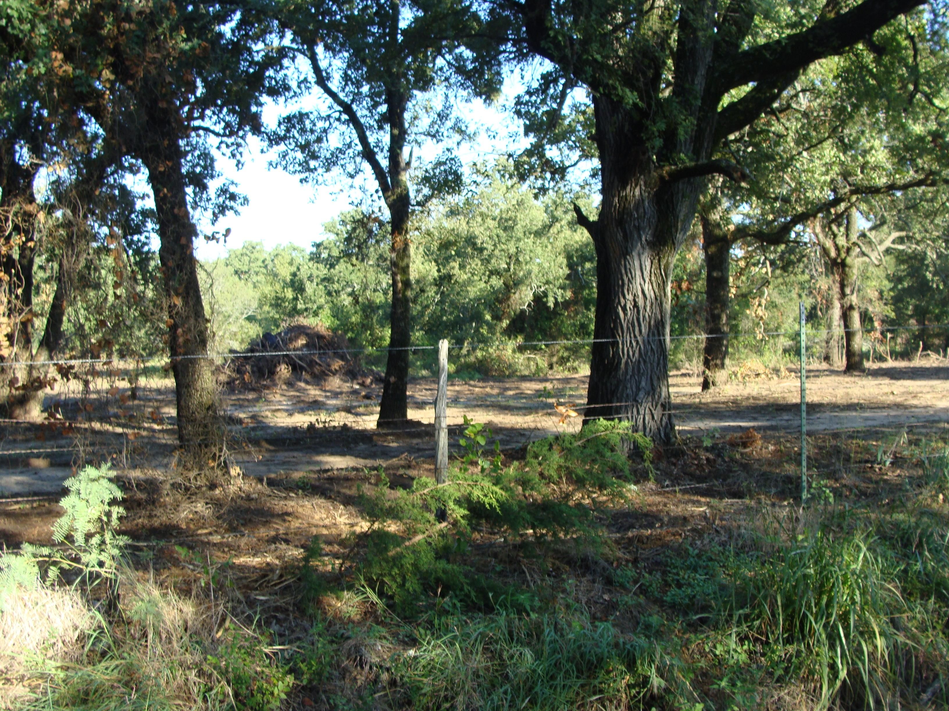 Millsap, Parker County, TX Recreational Property, Hunting Property