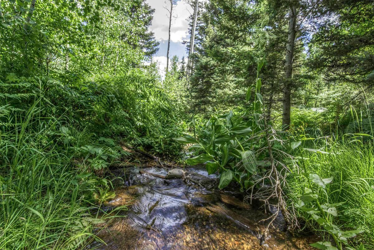 59 acres in Cuchara, CO, 81055 MLS 16754 LandWatch