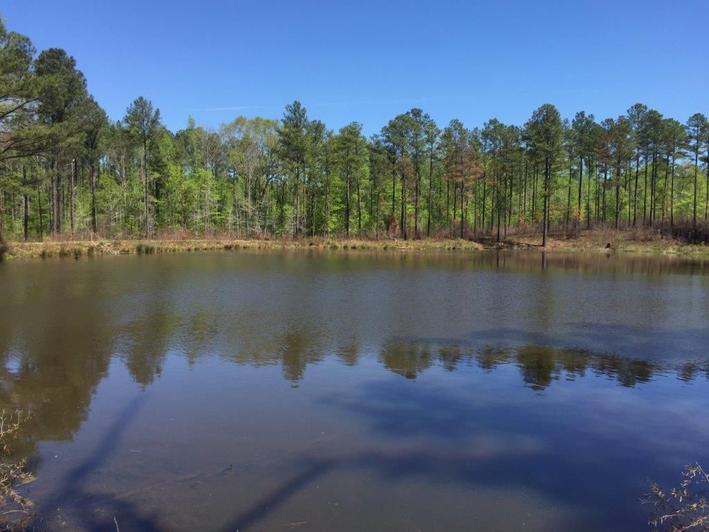Midway, Barbour County, AL Recreational Property, Timberland Property