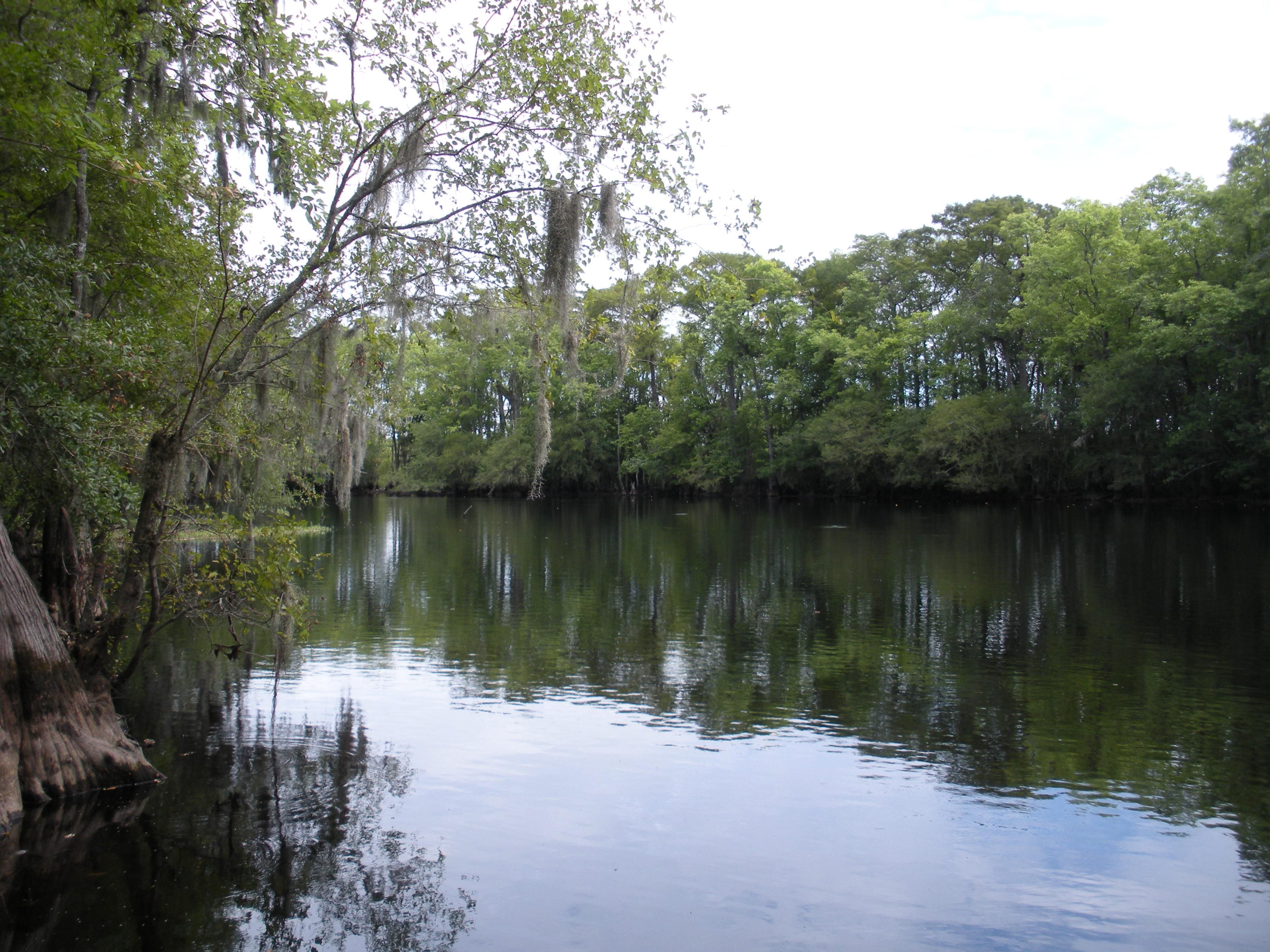 Mullins, Marion County, SC Recreational Property, Timberland Property, Hunting Property for sale