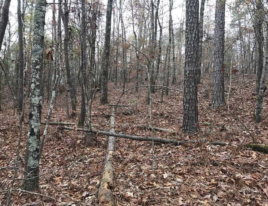 Palmetto, Pickens County, AL Farms and Ranches for sale Property ID