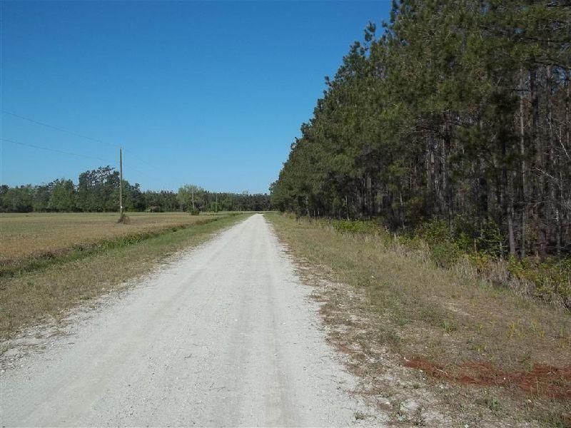 Bolton, Columbus County, NC Farms and Ranches for sale Property ID