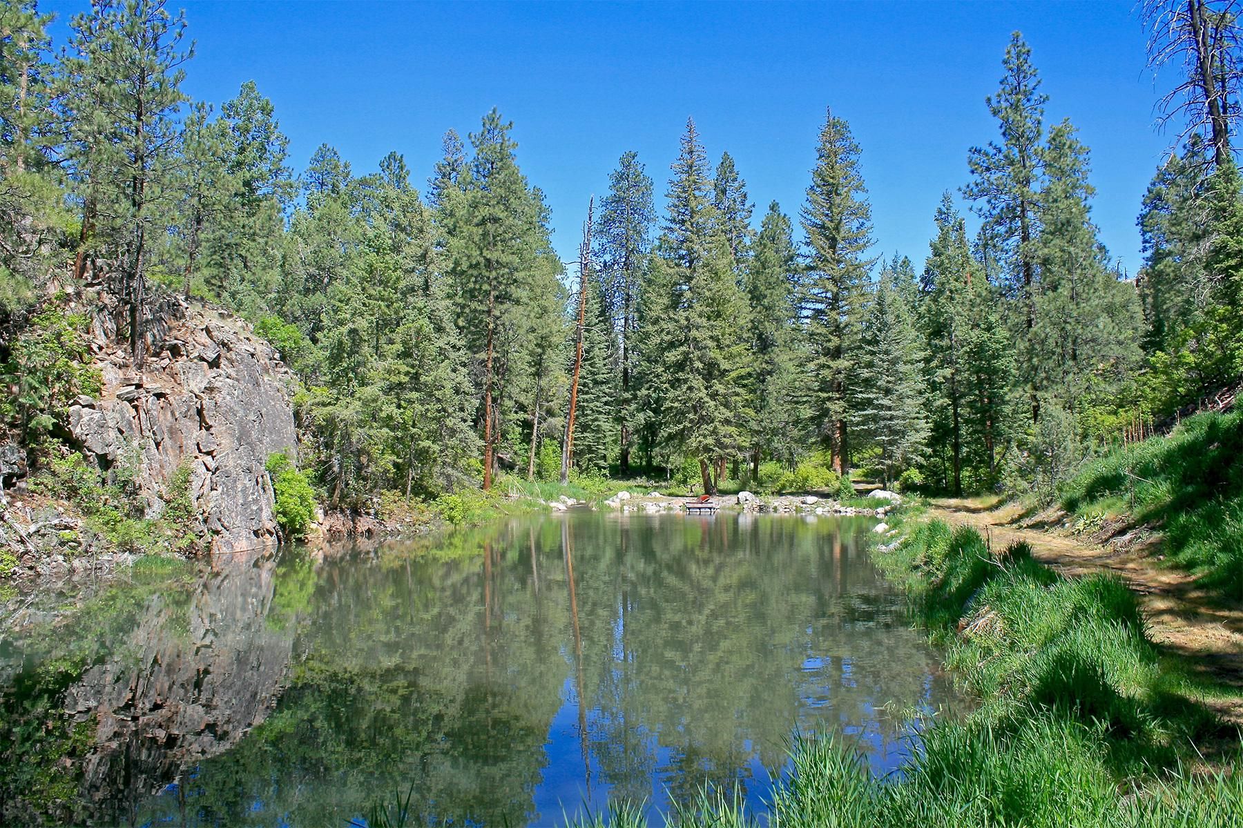 Durango, La Plata County, CO Recreational Property, Hunting Property, Lakefront Property