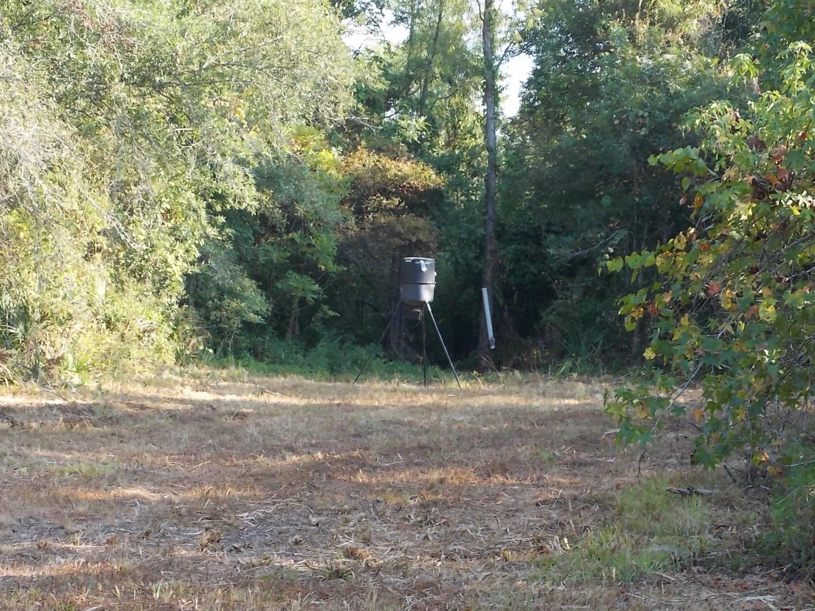 Off Hwy. 10, Lebeau, LA 71345 LandWatch