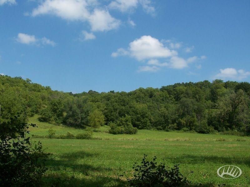 Waukon, Allamakee County, IA Farms and Ranches for sale Property ID