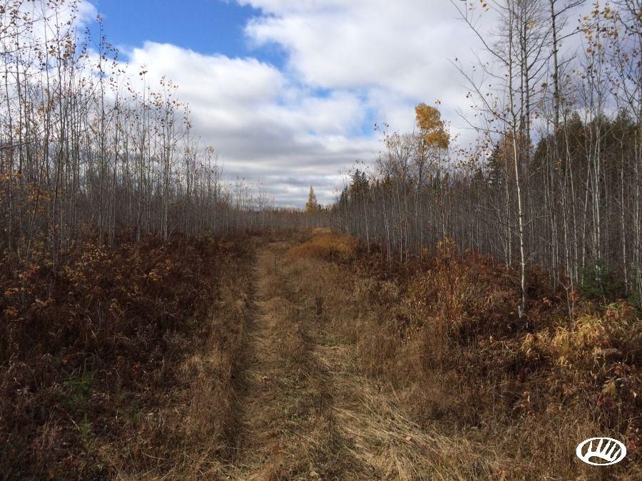 Big Falls, Koochiching County, MN Farms and Ranches for sale Property ID 402363405 LandWatch
