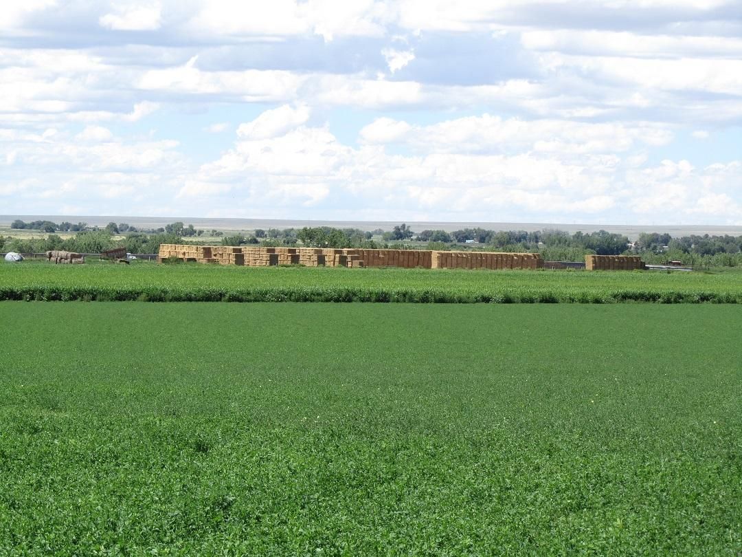 Trinidad, Las Animas County, CO Farms and Ranches, Hunting Property