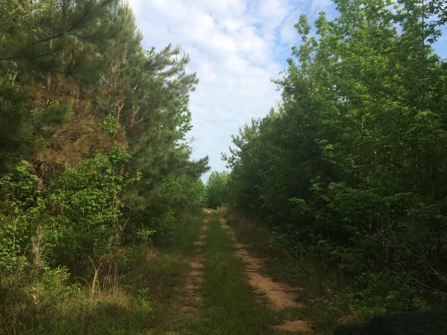 Irwinton, Wilkinson County, GA Farms and Ranches for sale Property ID