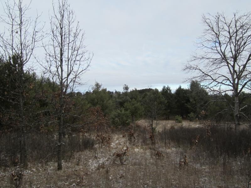 Wild Rose, Waushara County, WI Farms and Ranches for sale Property ID