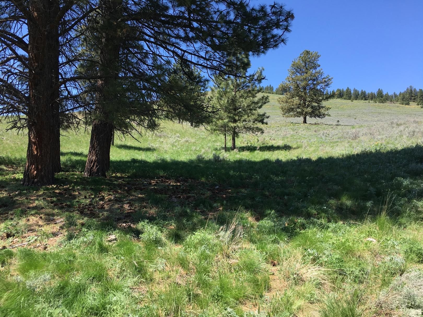 Tonasket, Okanogan County, WA Recreational Property, Horse Property for