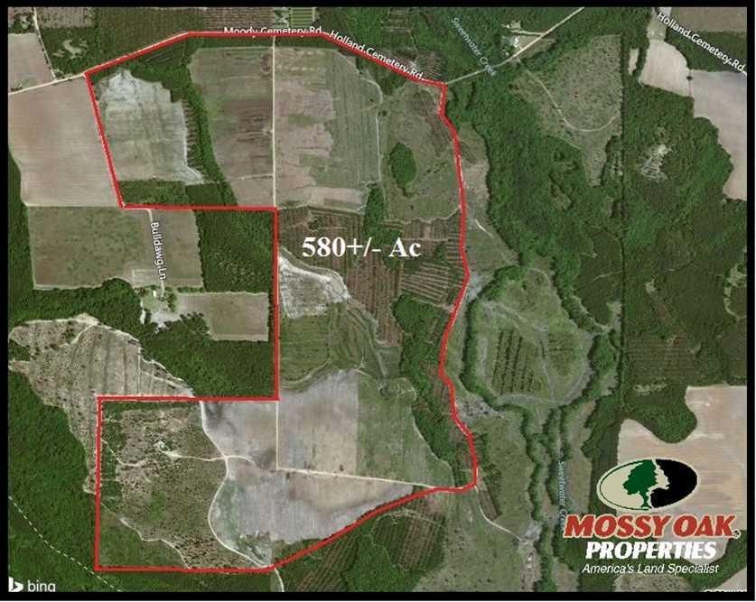 Baxley, Appling County, GA Farms and Ranches for sale Property ID