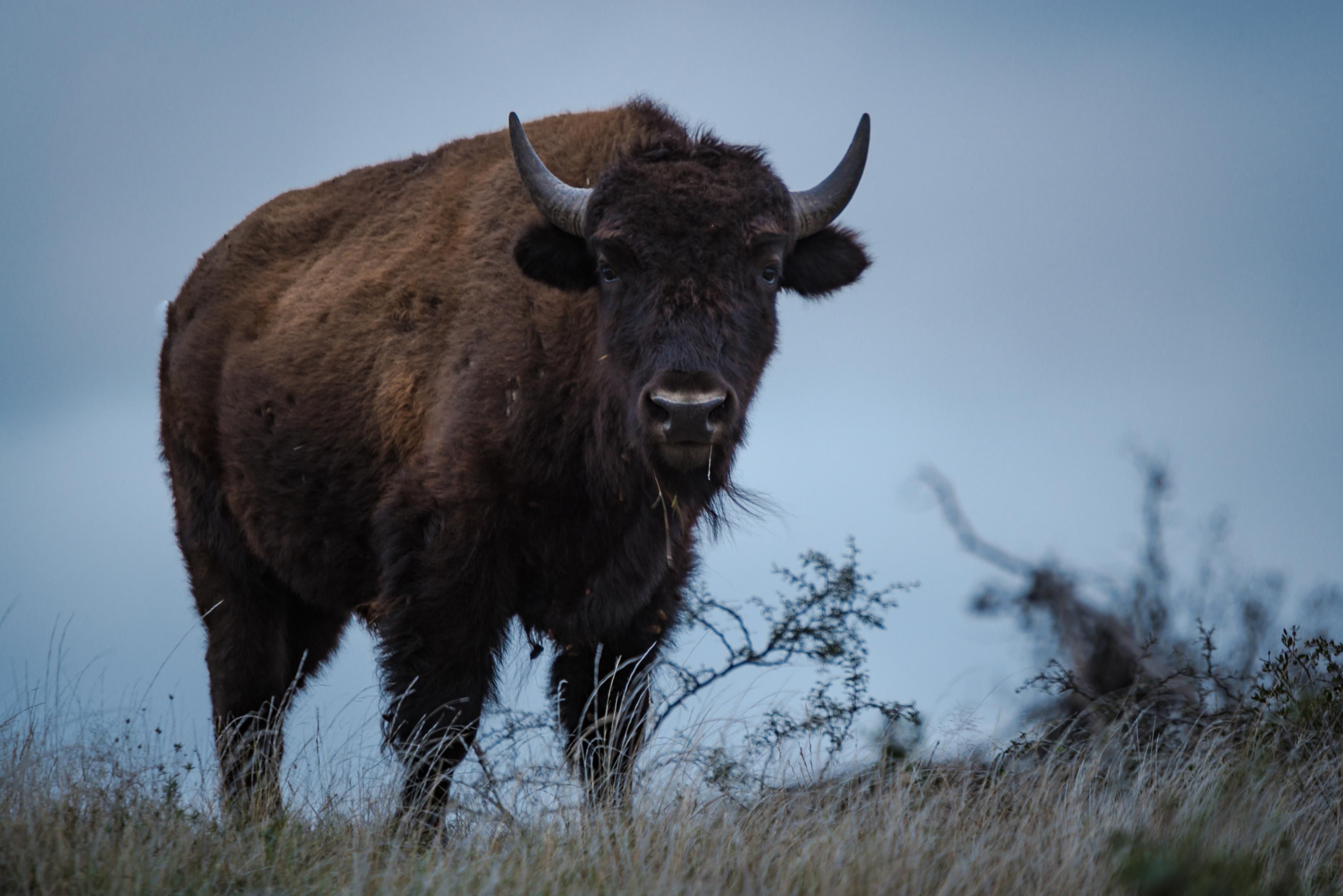 Del Rio, Val Verde County, TX Farms and Ranches, Recreational Property