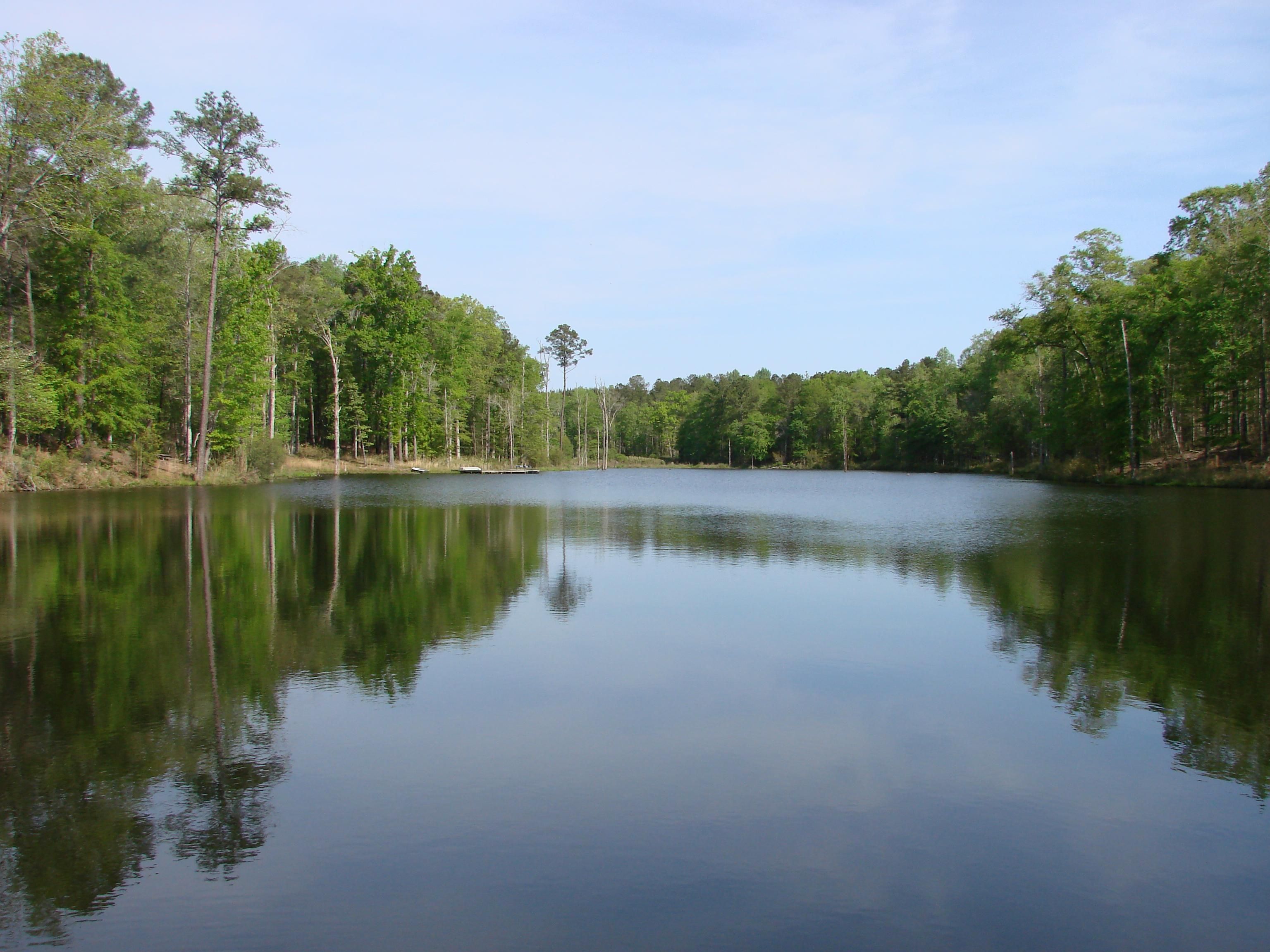 Ellaville, Schley County, GA Recreational Property, Timberland Property