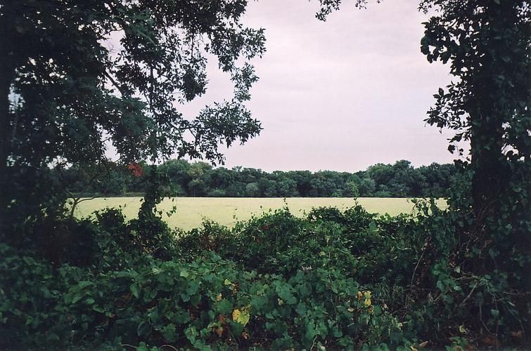 BLUE LAKE ROAD, Thackerville, OK 73459 LandWatch