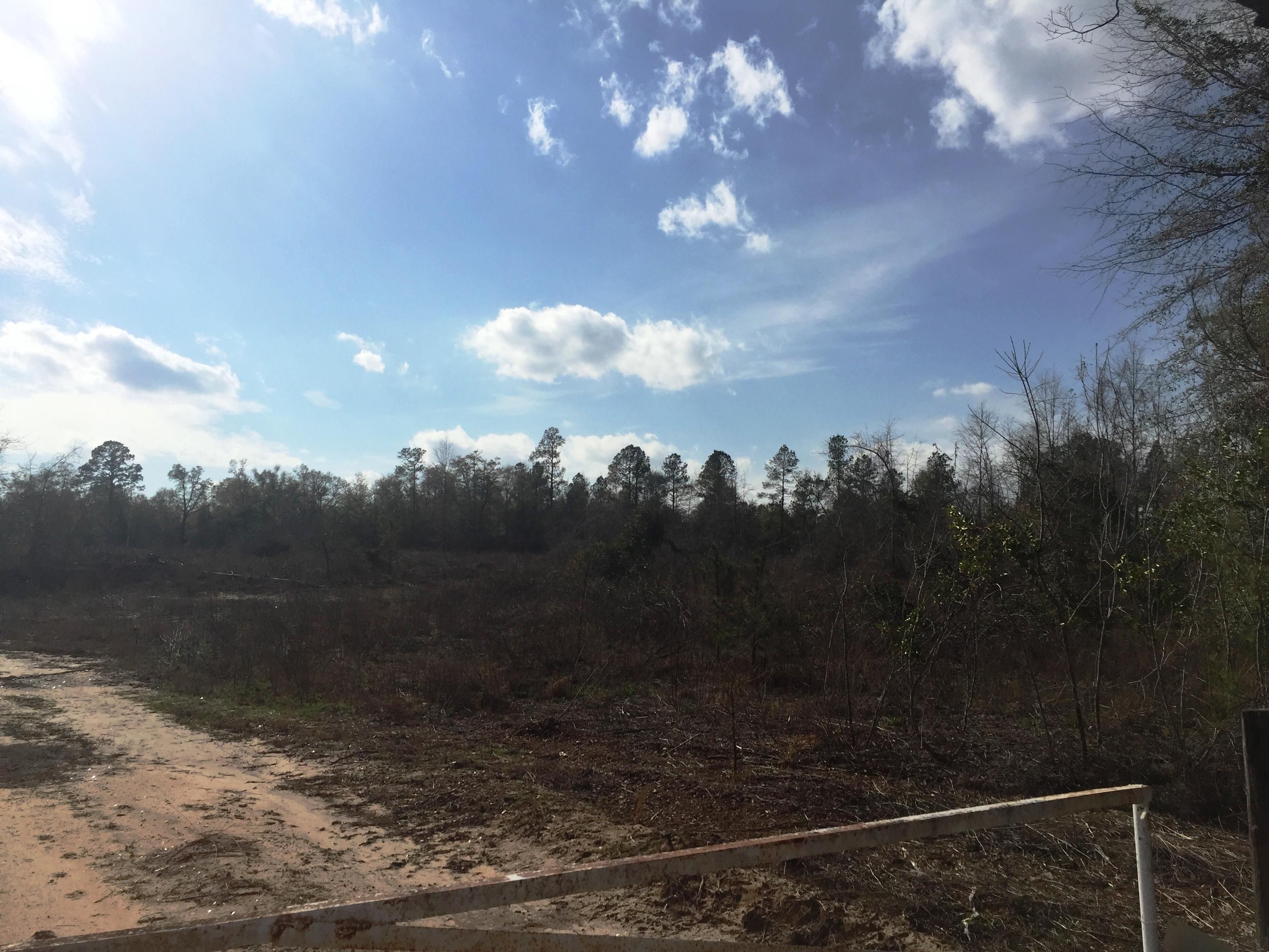 Springfield, Aiken County, SC Recreational Property, Timberland