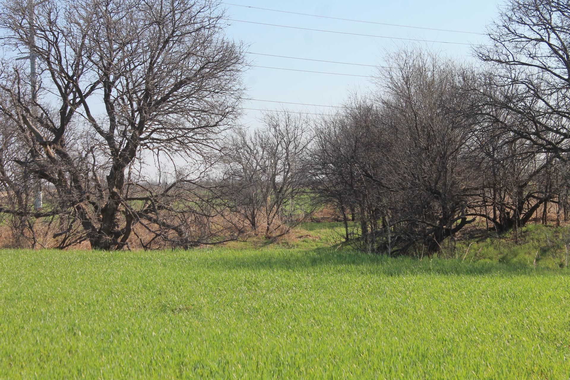 Childress, Childress County, TX Farms and Ranches, Recreational