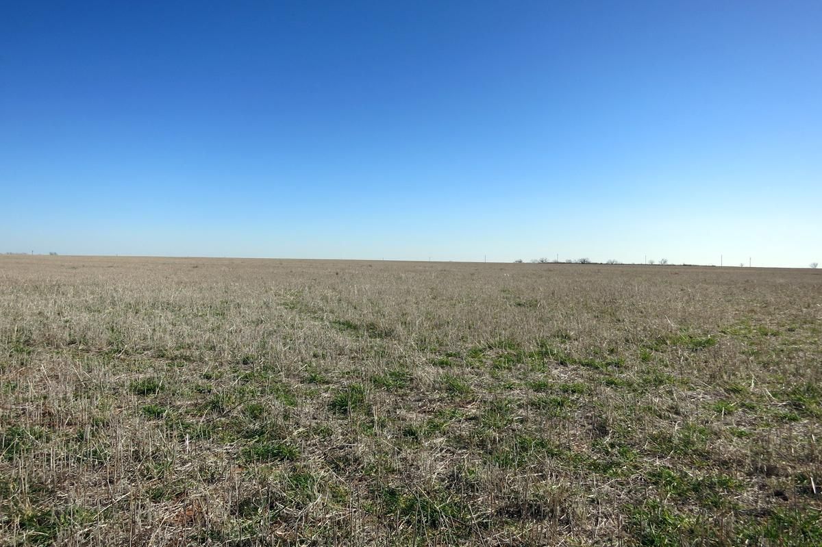 Noodle, Jones County, TX Farms and Ranches for sale Property ID