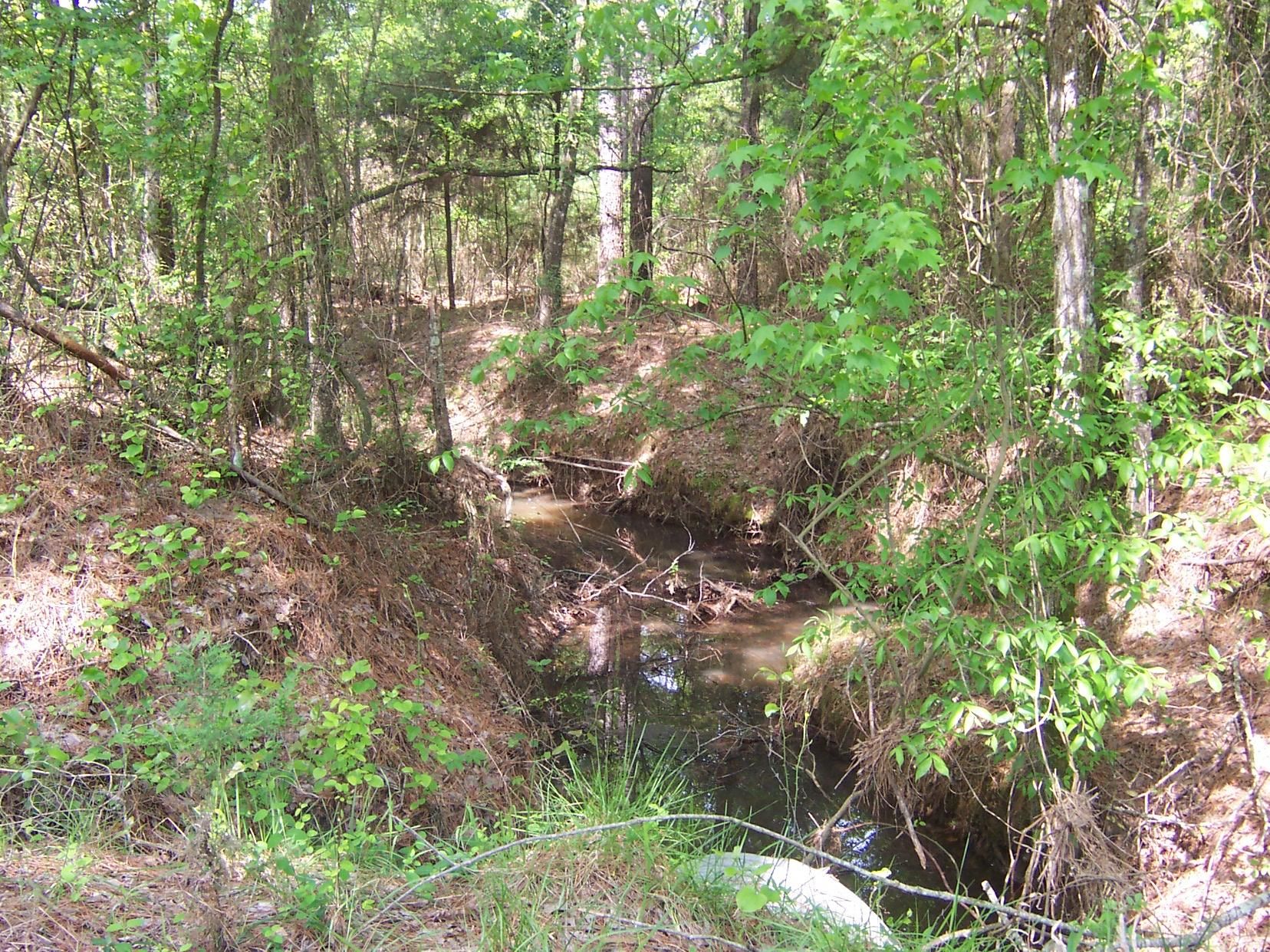 Haworth, McCurtain County, OK Timberland Property, Undeveloped Land