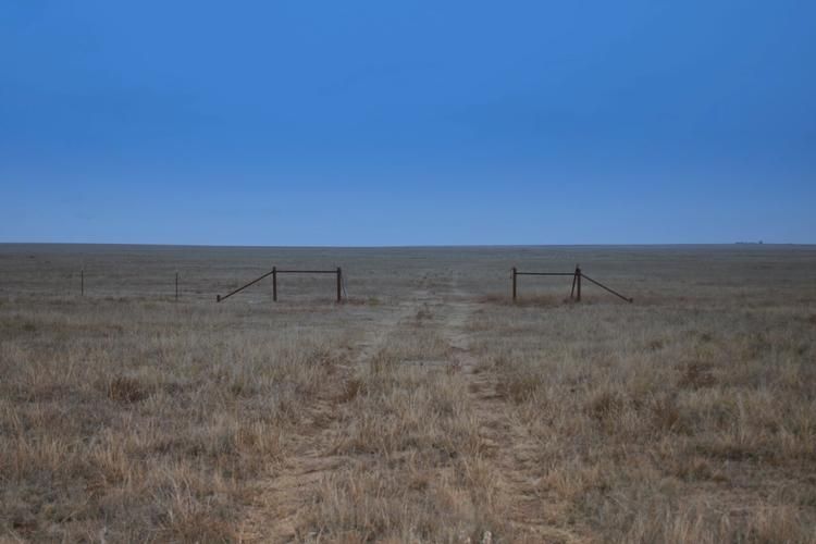 Dalhart, Dallam County, TX Farms and Ranches for sale Property ID 332412335 LandWatch