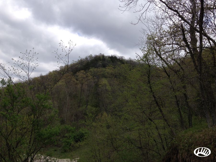 Waukon, Allamakee County, IA Farms and Ranches for sale Property ID