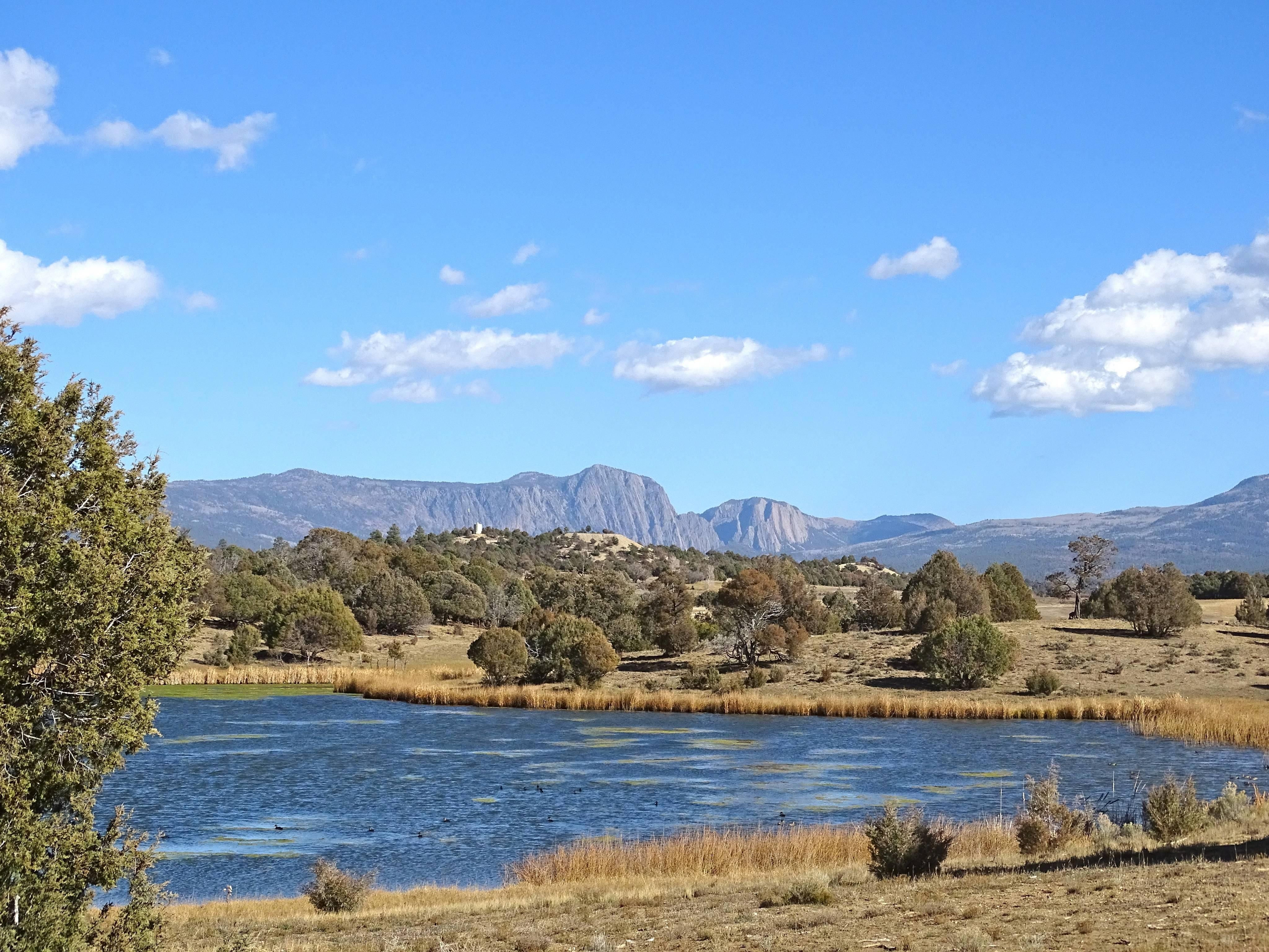 Tierra Amarilla, Rio Arriba County, NM Farms and Ranches for sale Property ID 403039588 LandWatch