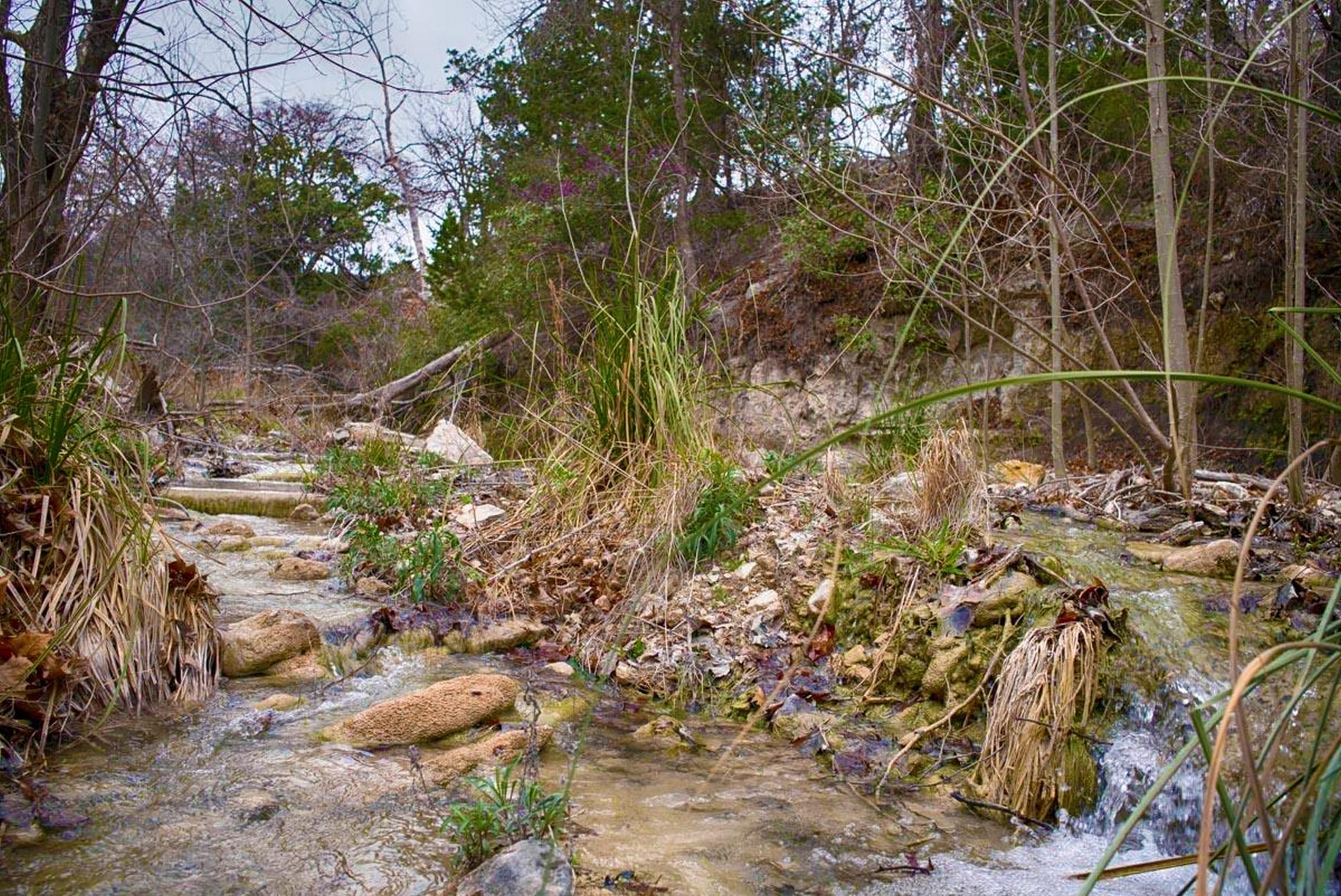 Vanderpool, Bandera County, TX Farms and Ranches, House for sale