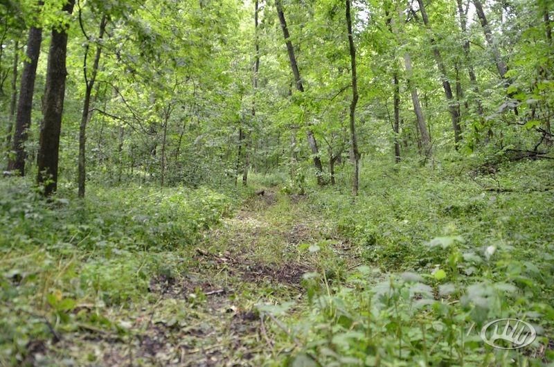 New Albin, Allamakee County, IA Farms and Ranches for sale Property ID