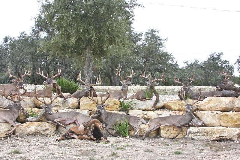 Bandera, Bandera County, TX Farms and Ranches, Recreational Property