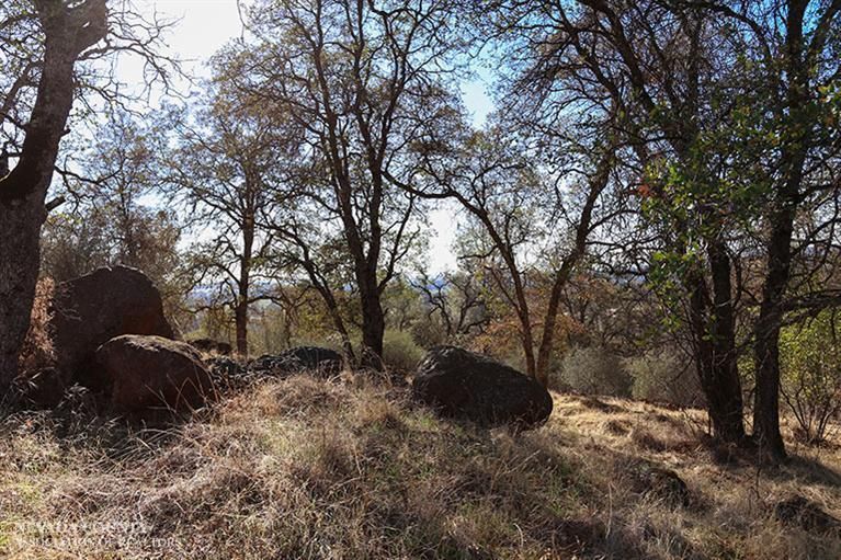 Browns Valley, Yuba County, CA Farms and Ranches for sale Property ID