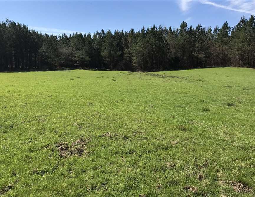 Ethelsville, Pickens County, AL Farms and Ranches for sale Property ID